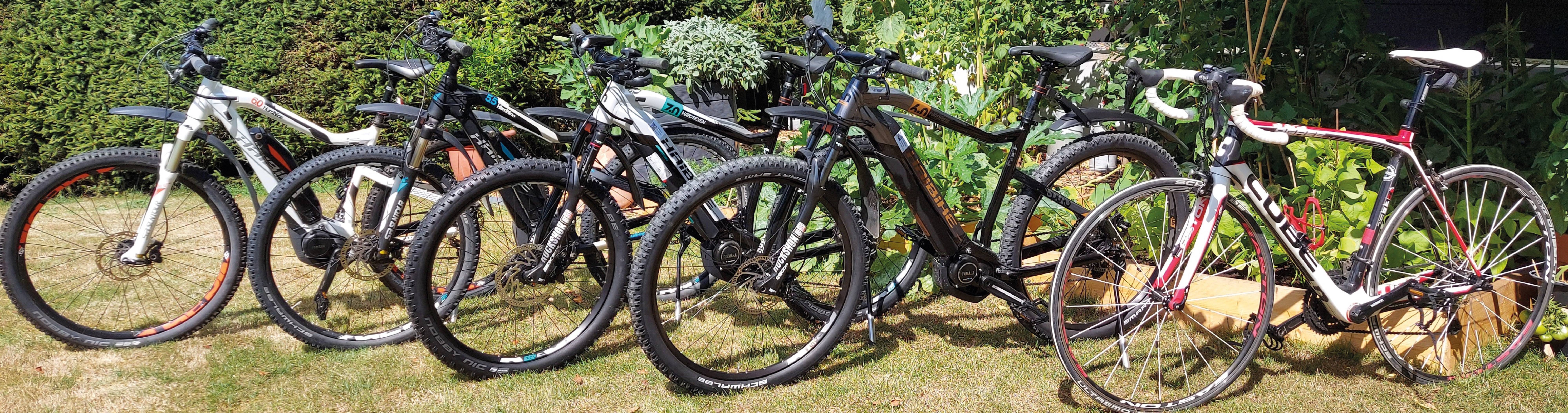 E-Bikes