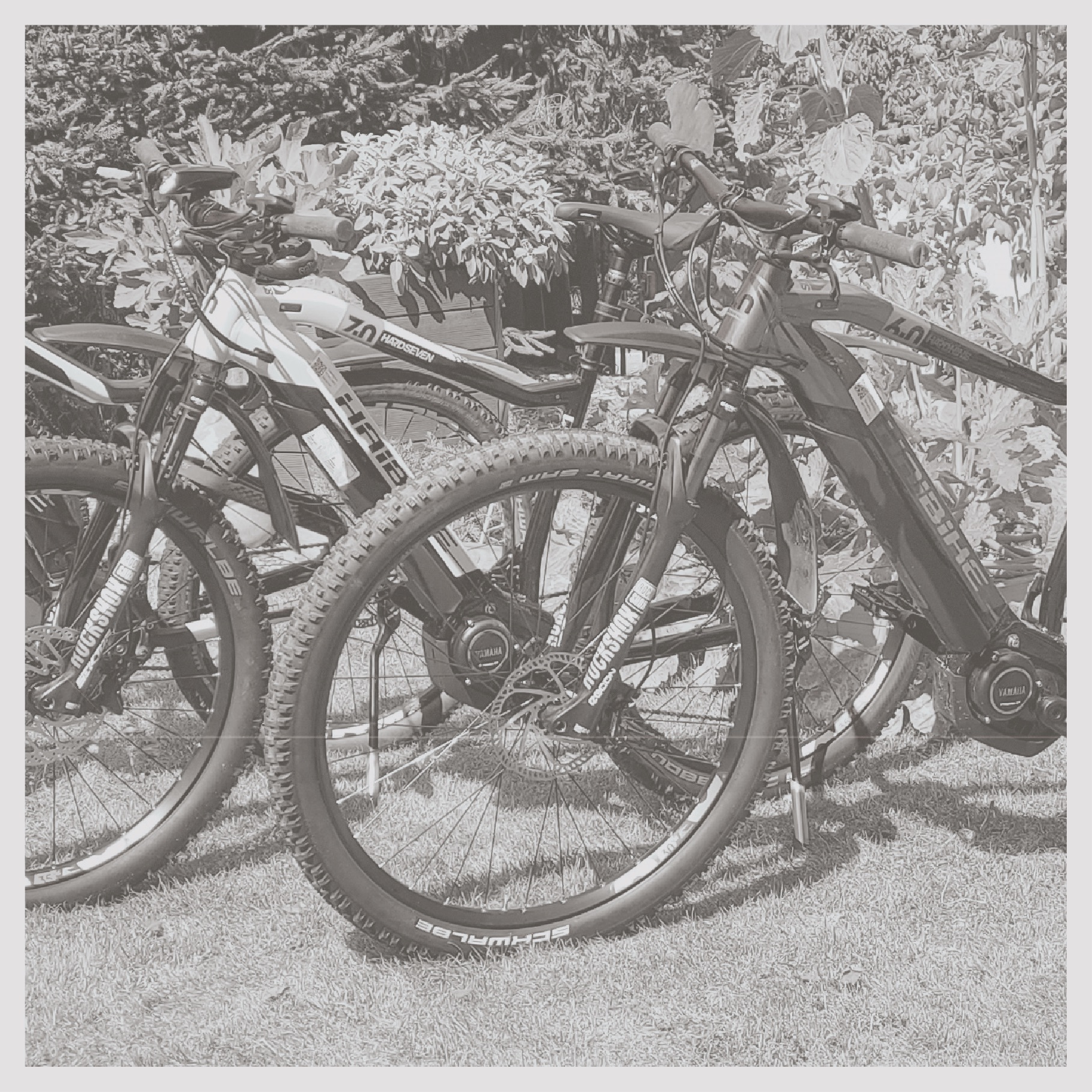 E-Bikes