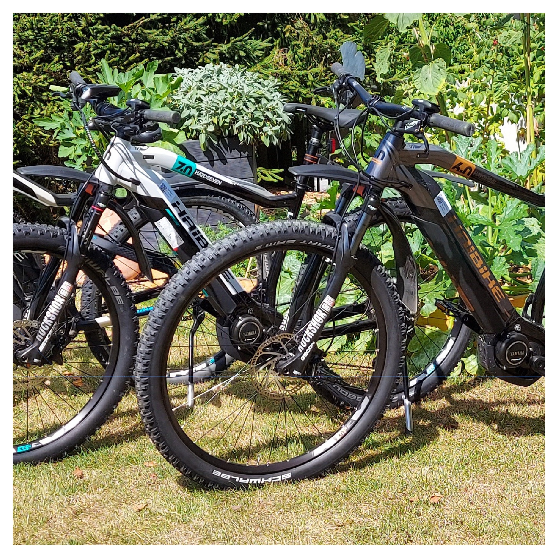 E-Bikes